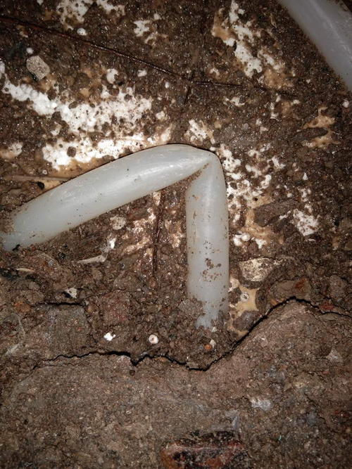 阳春堵点精准查找